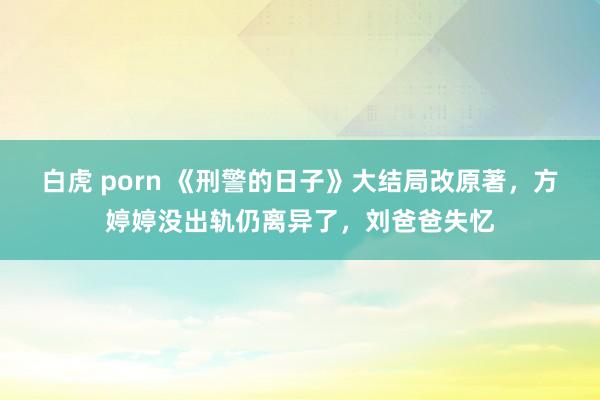 白虎 porn 《刑警的日子》大结局改原著，方婷婷没出轨仍离异了，刘爸爸失忆