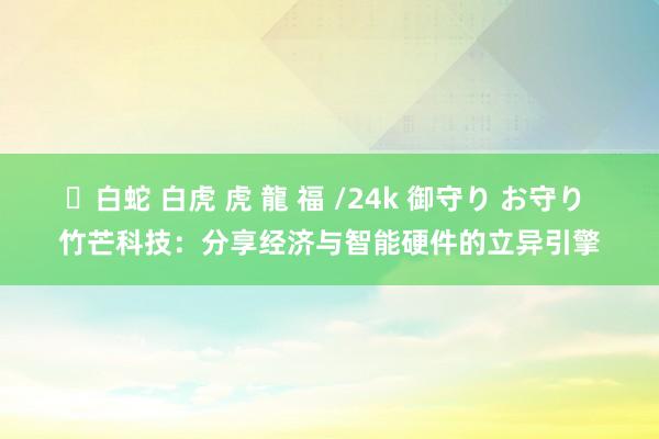 ✨白蛇 白虎 虎 龍 福 /24k 御守り お守り 竹芒科技：分享经济与智能硬件的立异引擎