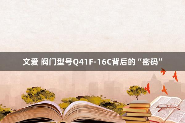 文爱 阀门型号Q41F-16C背后的“密码”