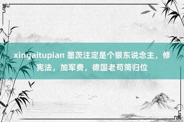 xingaitupian 墨茨注定是个狠东说念主，修宪法，加军费，德国老苟简归位