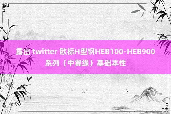 露出 twitter 欧标H型钢HEB100-HEB900系列（中翼缘）基础本性