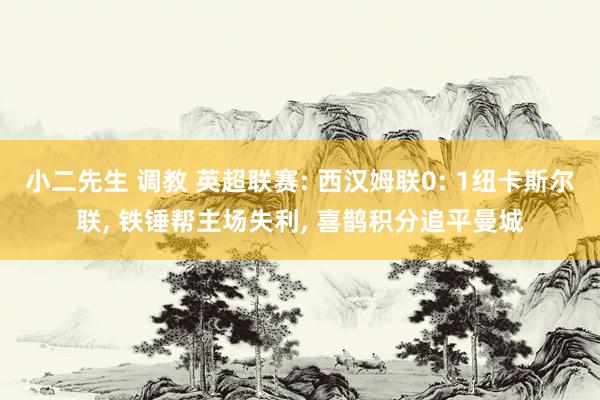 小二先生 调教 英超联赛: 西汉姆联0: 1纽卡斯尔联， 铁锤帮主场失利， 喜鹊积分追平曼城