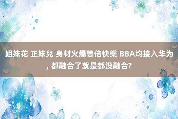 姐妹花 正妹兒 身材火爆雙倍快樂 BBA均接入华为， 都融合了就是都没融合?