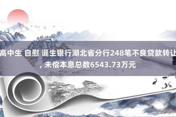 高中生 自慰 诞生银行湖北省分行248笔不良贷款转让， 未偿本息总数6543.73万元