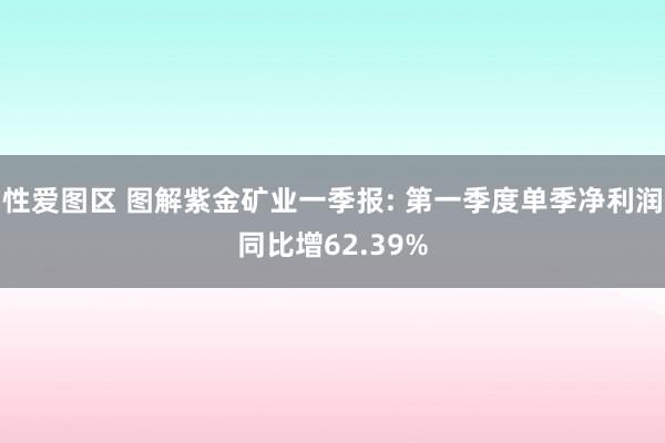 性爱图区 图解紫金矿业一季报: 第一季度单季净利润同比增62.39%
