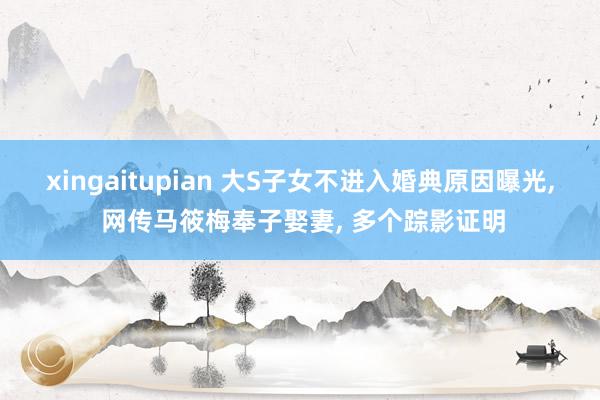 xingaitupian 大S子女不进入婚典原因曝光， 网传马筱梅奉子娶妻， 多个踪影证明